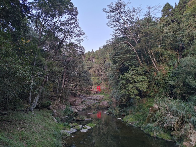 點我看大圖 【遊記】一天欣賞不完的「森林美景」,住宿是更好的選擇,杉林溪森林生態渡假園區 - 大漠國渡