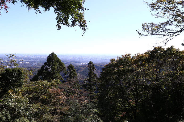 東京 高尾山 河口湖 & 里根場 [富士山] 輕井澤 川越 台場 神宮外苑 渋谷