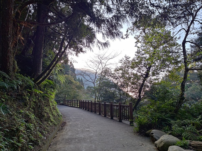點我看大圖 【遊記】一天欣賞不完的「森林美景」,住宿是更好的選擇,杉林溪森林生態渡假園區 - 大漠國渡