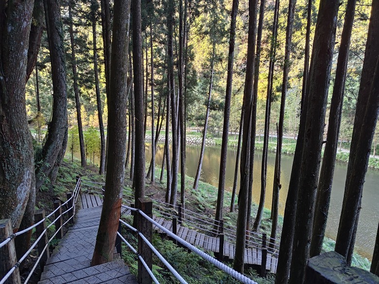 點我看大圖 【遊記】一天欣賞不完的「森林美景」,住宿是更好的選擇,杉林溪森林生態渡假園區 - 大漠國渡