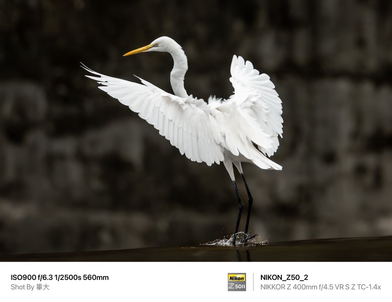 尼康NIKON Z50II二代新機評測