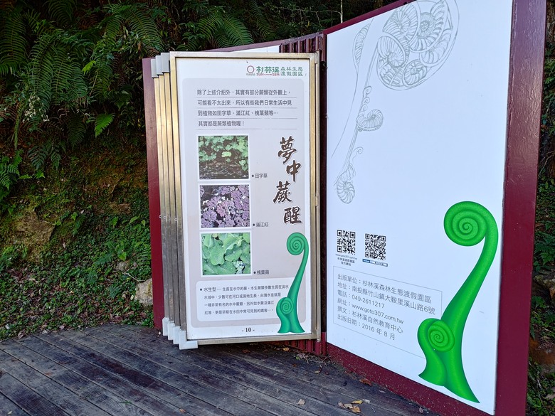 點我看大圖 【遊記】一天欣賞不完的「森林美景」,住宿是更好的選擇,杉林溪森林生態渡假園區 - 大漠國渡