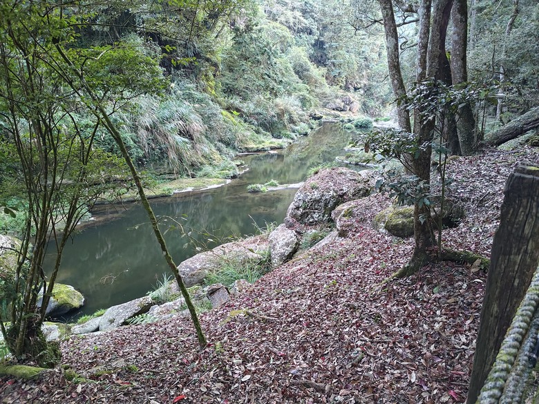 點我看大圖 【遊記】一天欣賞不完的「森林美景」,住宿是更好的選擇,杉林溪森林生態渡假園區 - 大漠國渡