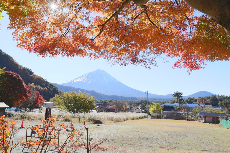 東京 高尾山 河口湖 & 里根場 [富士山] 輕井澤 川越 台場 神宮外苑 渋谷