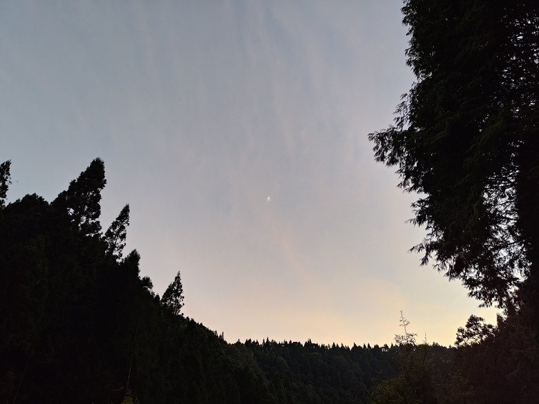 點我看大圖 【遊記】一天欣賞不完的「森林美景」,住宿是更好的選擇,杉林溪森林生態渡假園區 - 大漠國渡