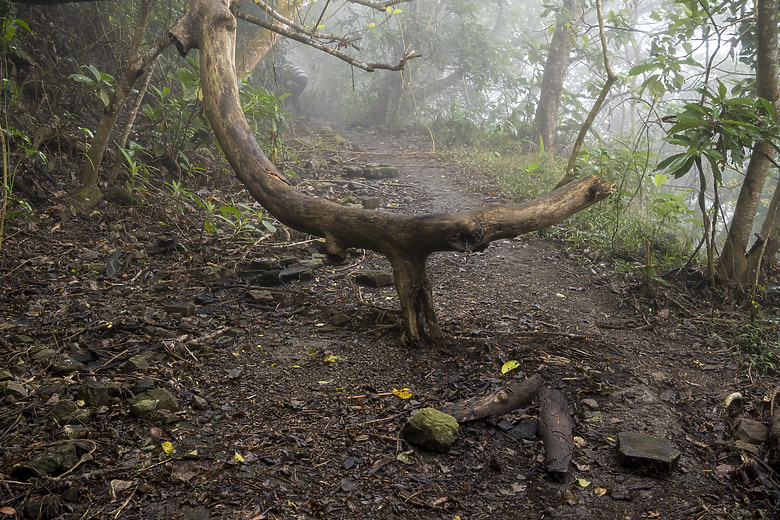 三角南山 一座下山比上山難的小百岳