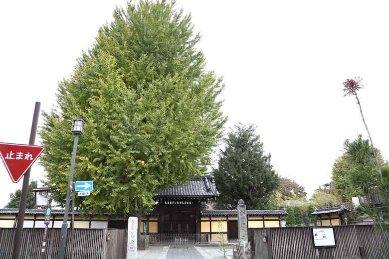 東京 高尾山 河口湖 & 里根場 [富士山] 輕井澤 川越 台場 神宮外苑 渋谷