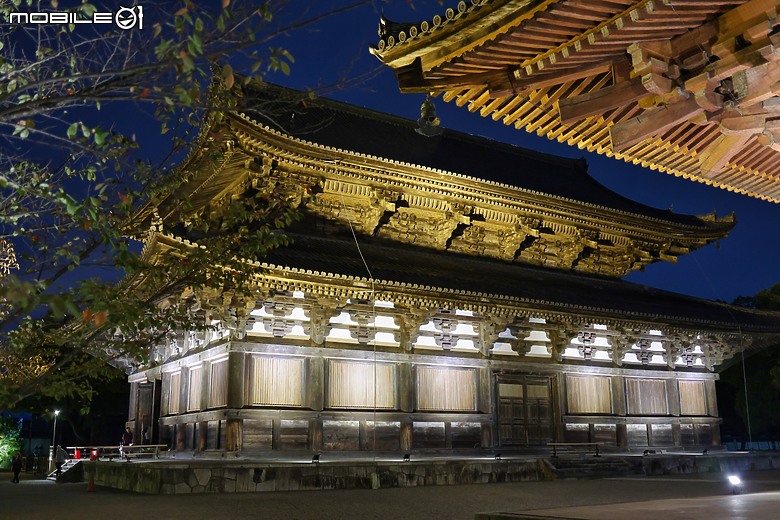 2024 京都夜間拜觀及夜拍 - 東寺、二条城 & 北野天満宮