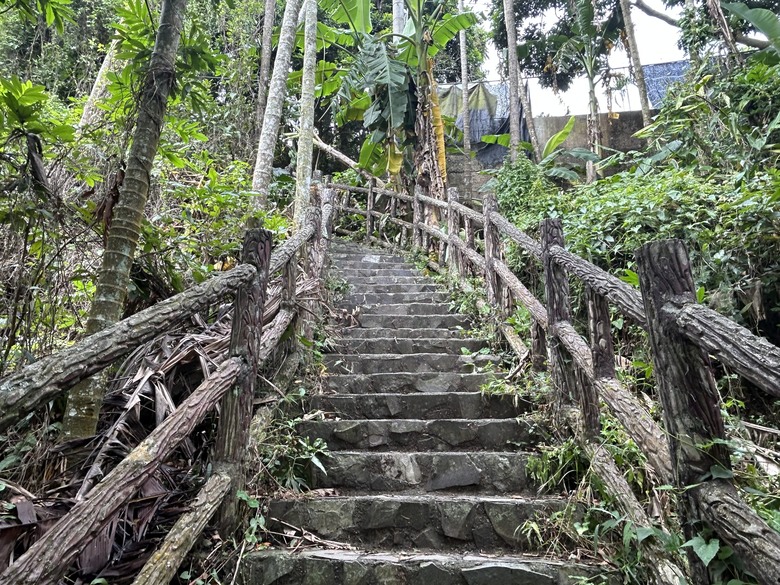 悠然迴旋路-獨立山國家森林步道健行(下)