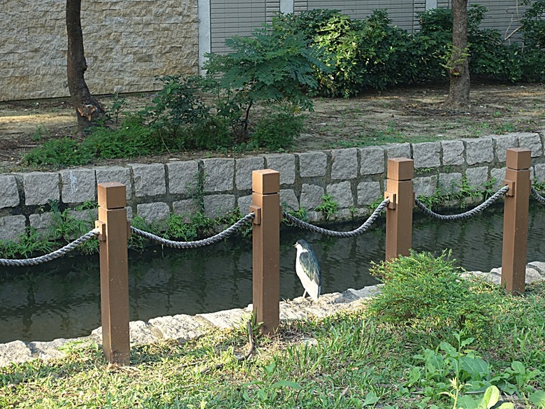 鳳儀書院、鳯山龍山寺、鳯邑城隍廟、鳳山縣新城殘蹟、曹公廟、鳳山教會 — 2024年末鳳山快閃訪古行旅紀錄