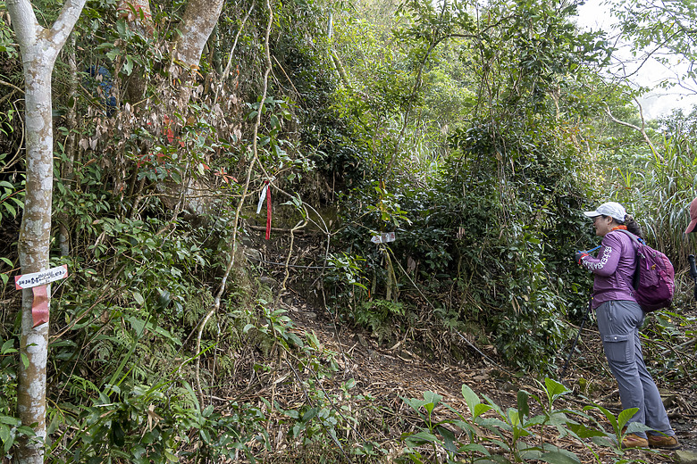 三角南山 一座下山比上山難的小百岳