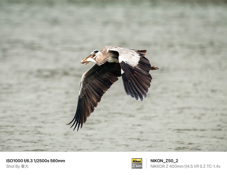 尼康NIKON Z50II二代新機評測