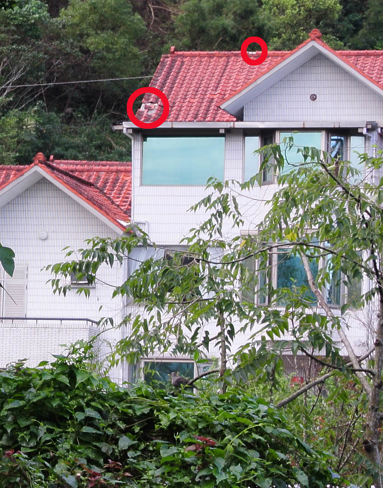 點我看大圖 屋瓦兩次颱風,都被隔壁鄰居掉落的屋瓦敲破.