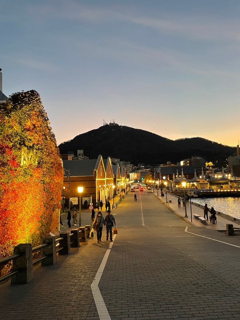 抓住秋日尾巴。北海道之旅