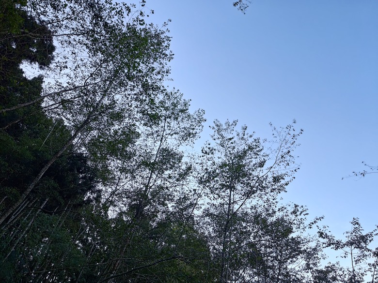點我看大圖 【遊記】一天欣賞不完的「森林美景」,住宿是更好的選擇,杉林溪森林生態渡假園區 - 大漠國渡