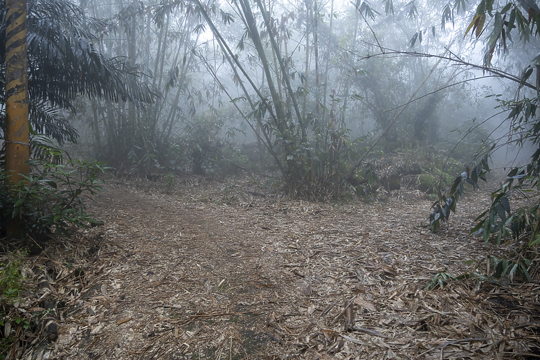 三角南山 一座下山比上山難的小百岳