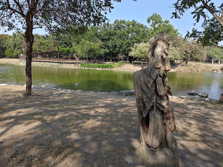 【遊記】彰化有個不輸「臺北大安森林公園」的公園，溪州公園 - 大漠國渡