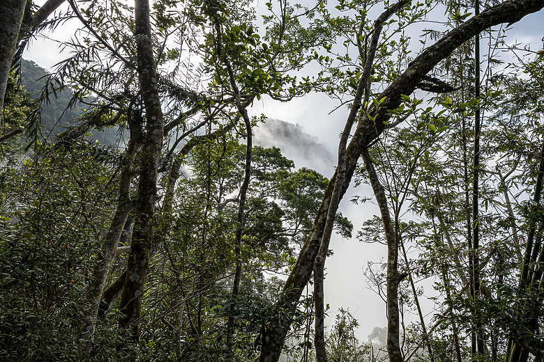 三角南山 一座下山比上山難的小百岳