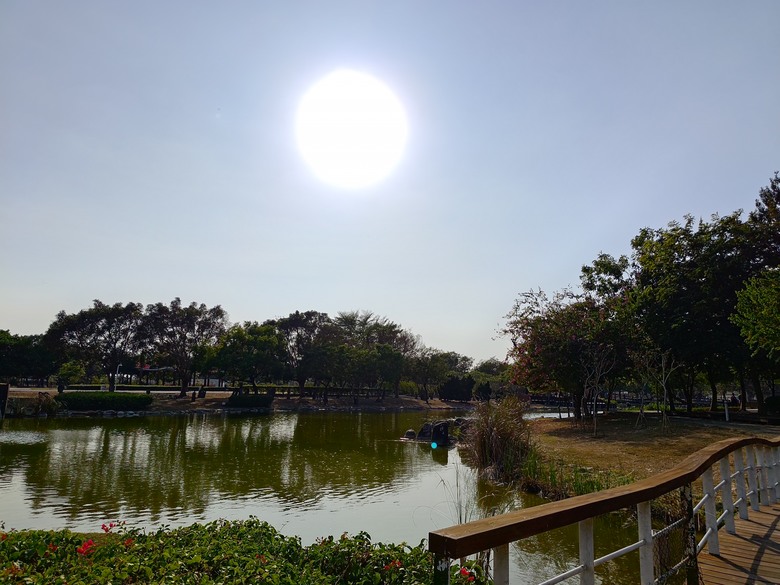【遊記】第二章，彰化有個不輸「臺北大安森林公園」的公園，溪州公園 (森林區) - 大漠國渡