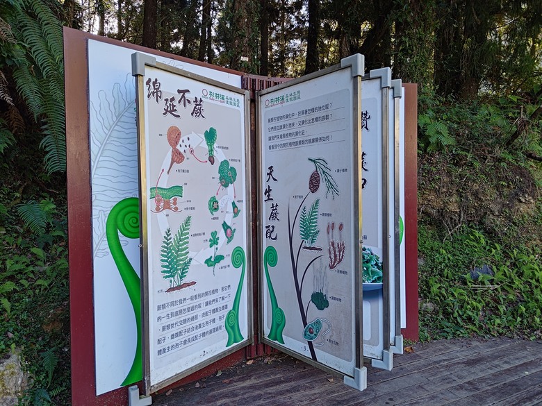 點我看大圖 【遊記】一天欣賞不完的「森林美景」,住宿是更好的選擇,杉林溪森林生態渡假園區 - 大漠國渡
