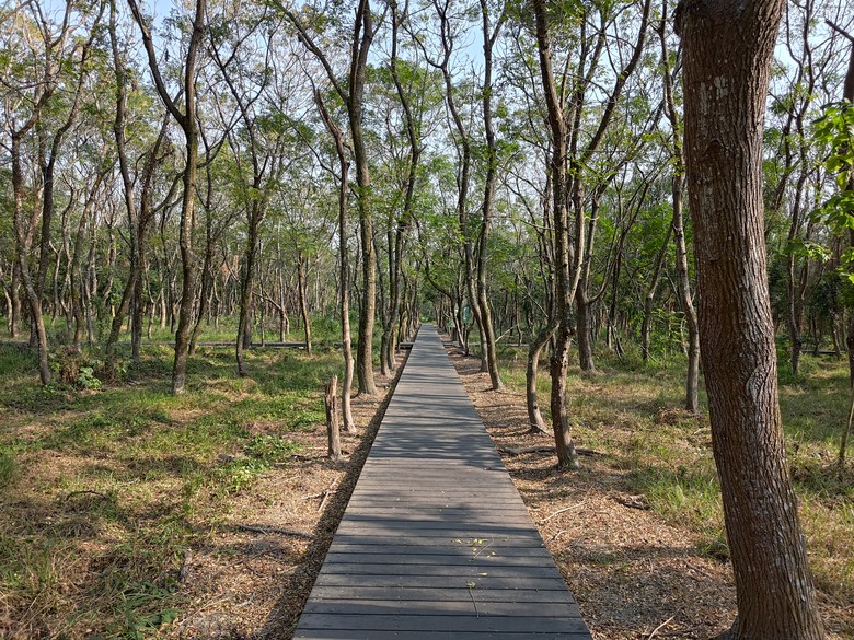 【遊記】第二章，彰化有個不輸「臺北大安森林公園」的公園，溪州公園 (森林區) - 大漠國渡