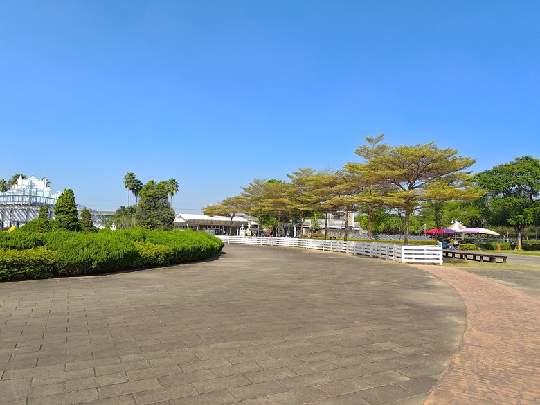 【遊記】彰化有個不輸「臺北大安森林公園」的公園，溪州公園 - 大漠國渡