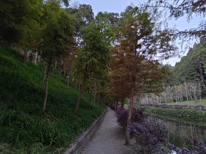 點我看大圖 【遊記】一天欣賞不完的「森林美景」,住宿是更好的選擇,杉林溪森林生態渡假園區 - 大漠國渡