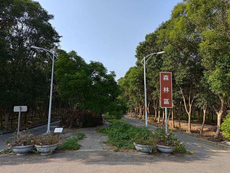 【遊記】第二章，彰化有個不輸「臺北大安森林公園」的公園，溪州公園 (森林區) - 大漠國渡