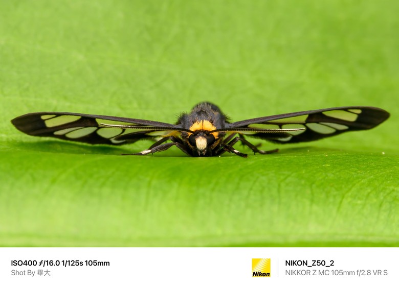 尼康NIKON Z50II二代新機評測