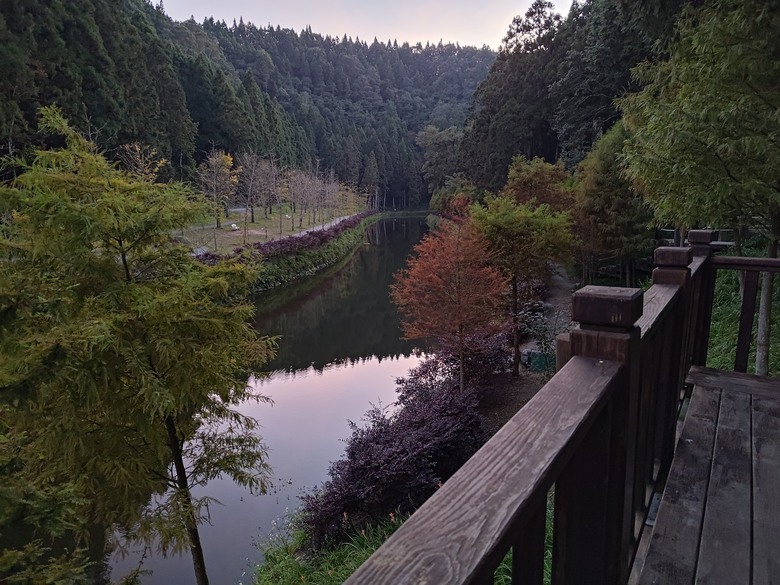 點我看大圖 【遊記】一天欣賞不完的「森林美景」,住宿是更好的選擇,杉林溪森林生態渡假園區 - 大漠國渡