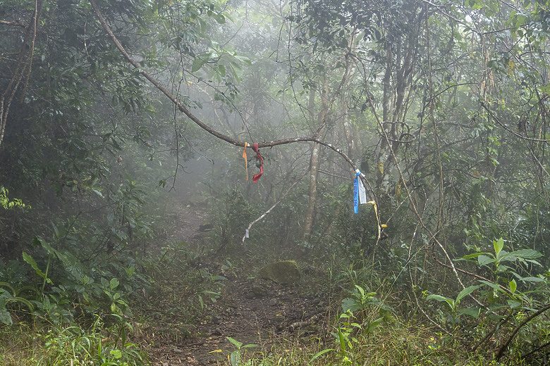 三角南山 一座下山比上山難的小百岳