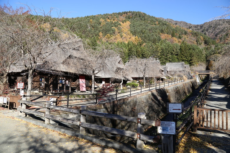 東京 高尾山 河口湖 & 里根場 [富士山] 輕井澤 川越 台場 神宮外苑 渋谷