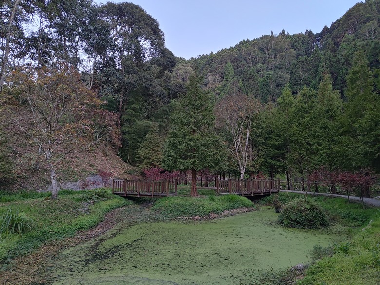 點我看大圖 【遊記】一天欣賞不完的「森林美景」,住宿是更好的選擇,杉林溪森林生態渡假園區 - 大漠國渡
