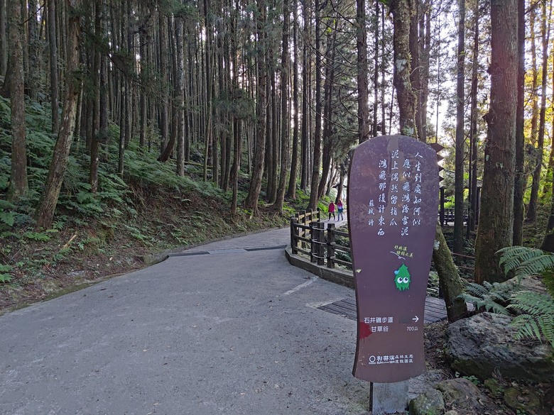 點我看大圖 【遊記】一天欣賞不完的「森林美景」,住宿是更好的選擇,杉林溪森林生態渡假園區 - 大漠國渡