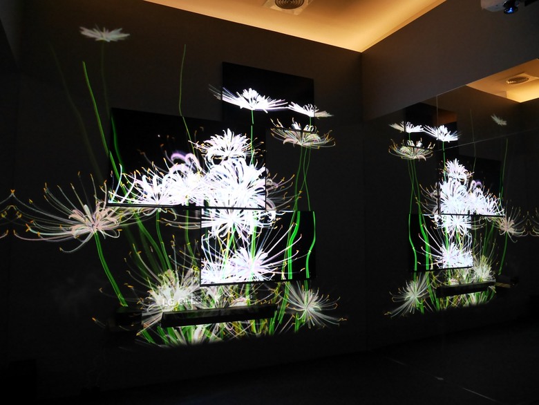 【限定期間體驗】LG OLED 永恆花境藝術展 欣賞藝術家吳哲宇的演算生成藝術影像作品