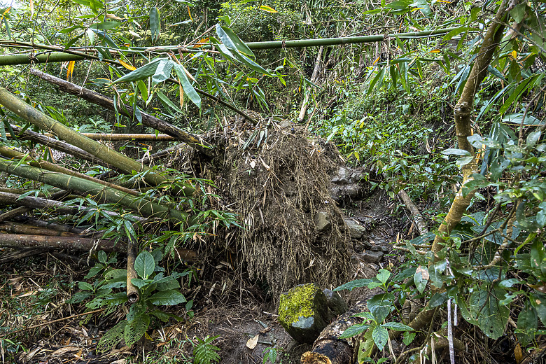 三角南山 一座下山比上山難的小百岳
