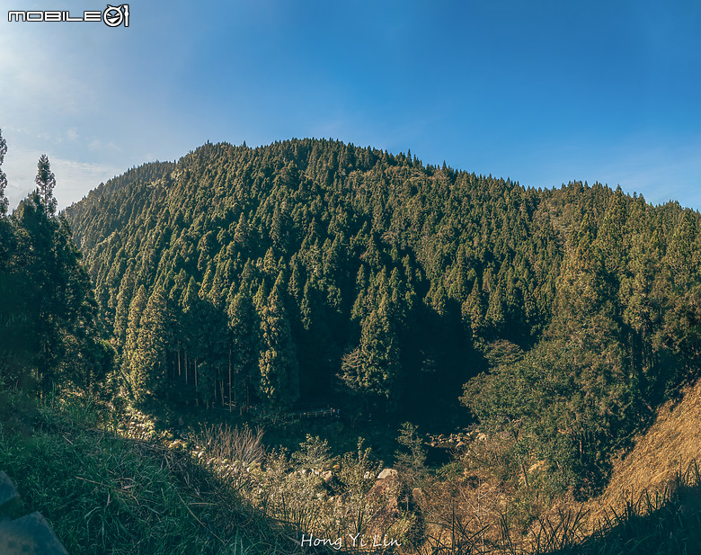 出遊分享 Canon EOS R8 ( 騎車上杉林溪)
