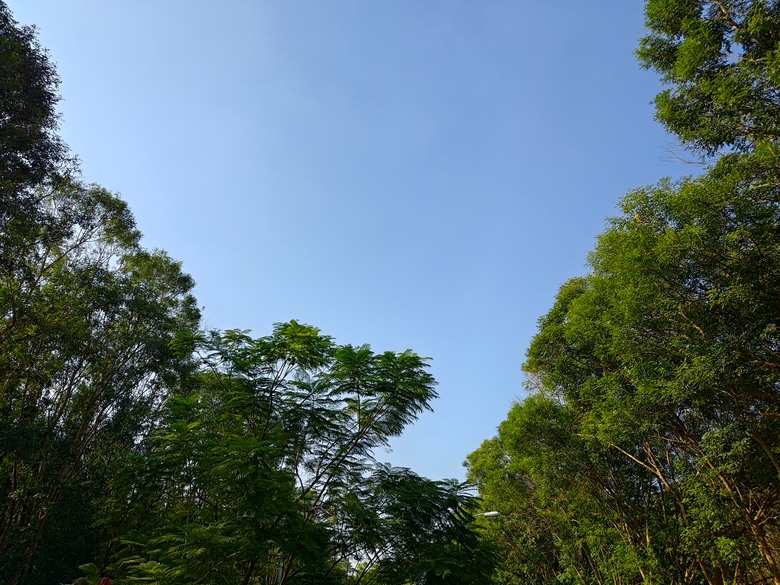【遊記】第二章，彰化有個不輸「臺北大安森林公園」的公園，溪州公園 (森林區) - 大漠國渡