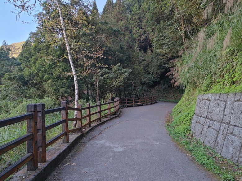 點我看大圖 【遊記】一天欣賞不完的「森林美景」,住宿是更好的選擇,杉林溪森林生態渡假園區 - 大漠國渡