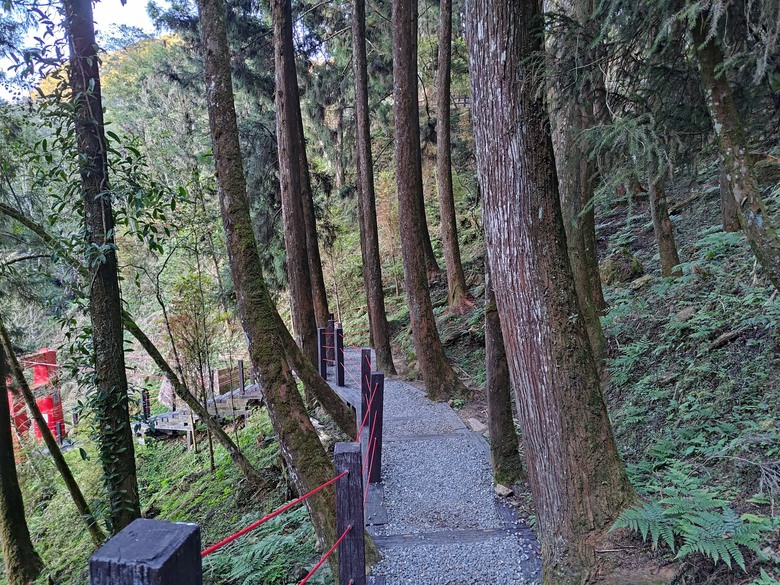 點我看大圖 【遊記】一天欣賞不完的「森林美景」,住宿是更好的選擇,杉林溪森林生態渡假園區 - 大漠國渡