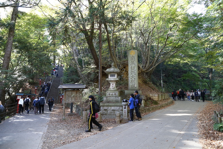 東京 高尾山 河口湖 & 里根場 [富士山] 輕井澤 川越 台場 神宮外苑 渋谷