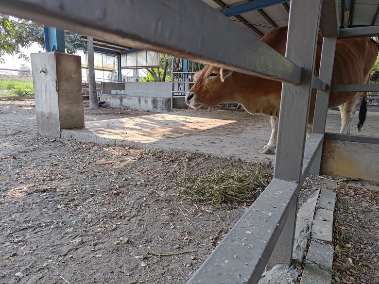 【遊記】彰化有個不輸「臺北大安森林公園」的公園，溪州公園 - 大漠國渡