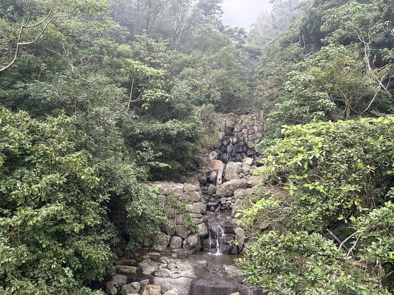 悠然迴旋路-獨立山國家森林步道健行(下)