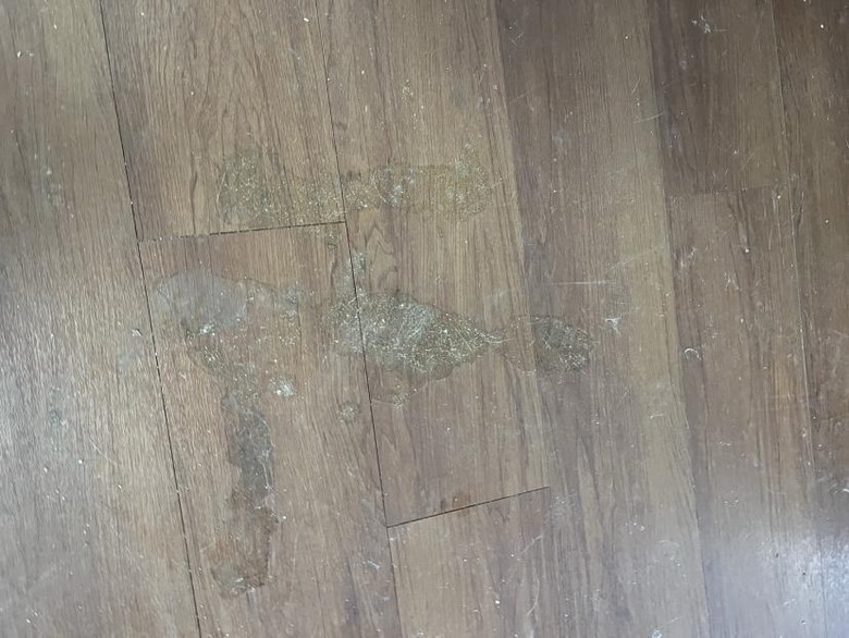 大推!!養貓清潔好幫手吸拖洗地機