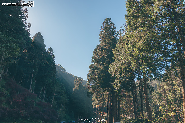 出遊分享 Canon EOS R8 ( 騎車上杉林溪)