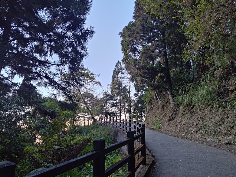點我看大圖 【遊記】一天欣賞不完的「森林美景」,住宿是更好的選擇,杉林溪森林生態渡假園區 - 大漠國渡
