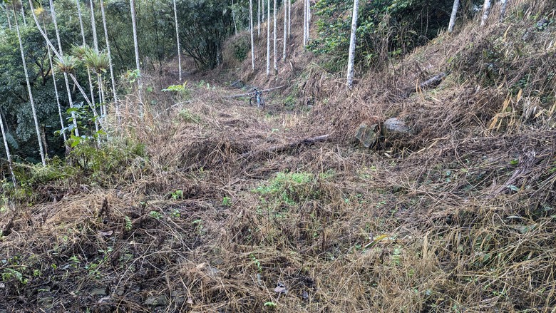 桶頭=>日落頭=>1314景觀台=>倒交山林道=>碧湖村=>樟湖