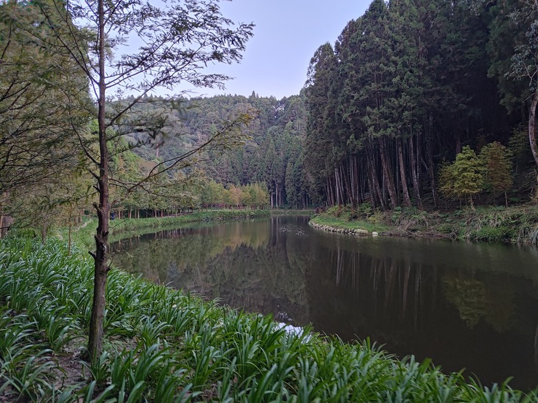 點我看大圖 【遊記】一天欣賞不完的「森林美景」,住宿是更好的選擇,杉林溪森林生態渡假園區 - 大漠國渡
