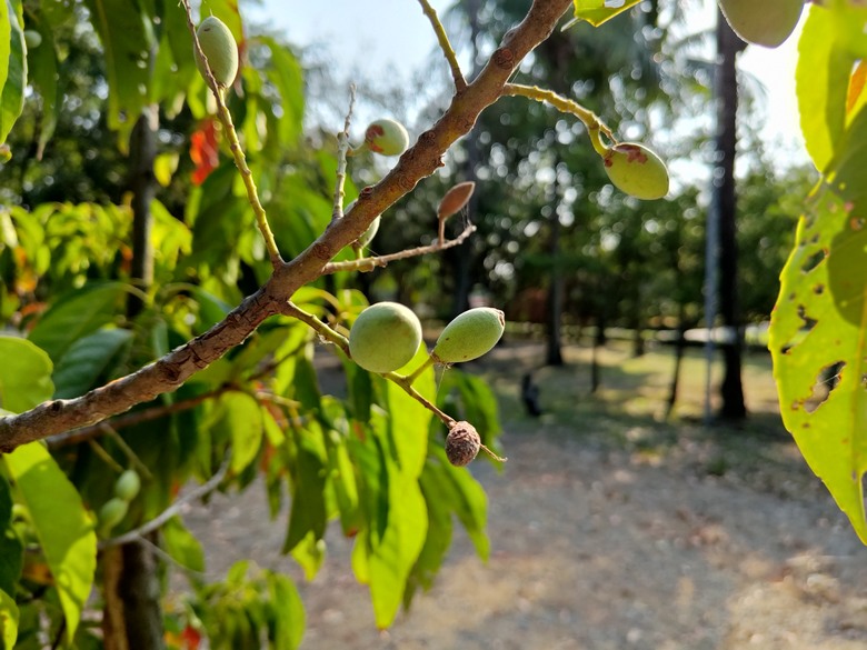 【遊記】第二章，彰化有個不輸「臺北大安森林公園」的公園，溪州公園 (森林區) - 大漠國渡