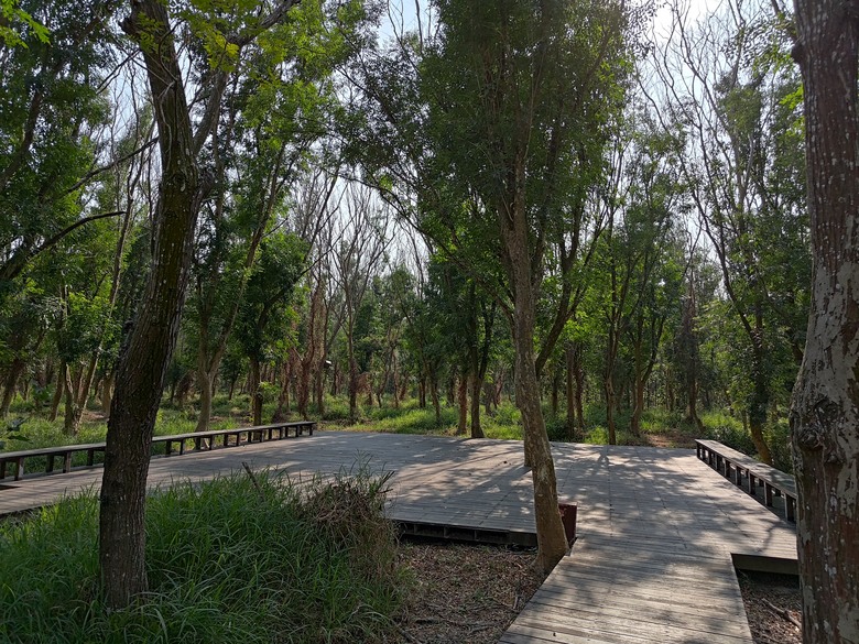 【遊記】第二章，彰化有個不輸「臺北大安森林公園」的公園，溪州公園 (森林區) - 大漠國渡